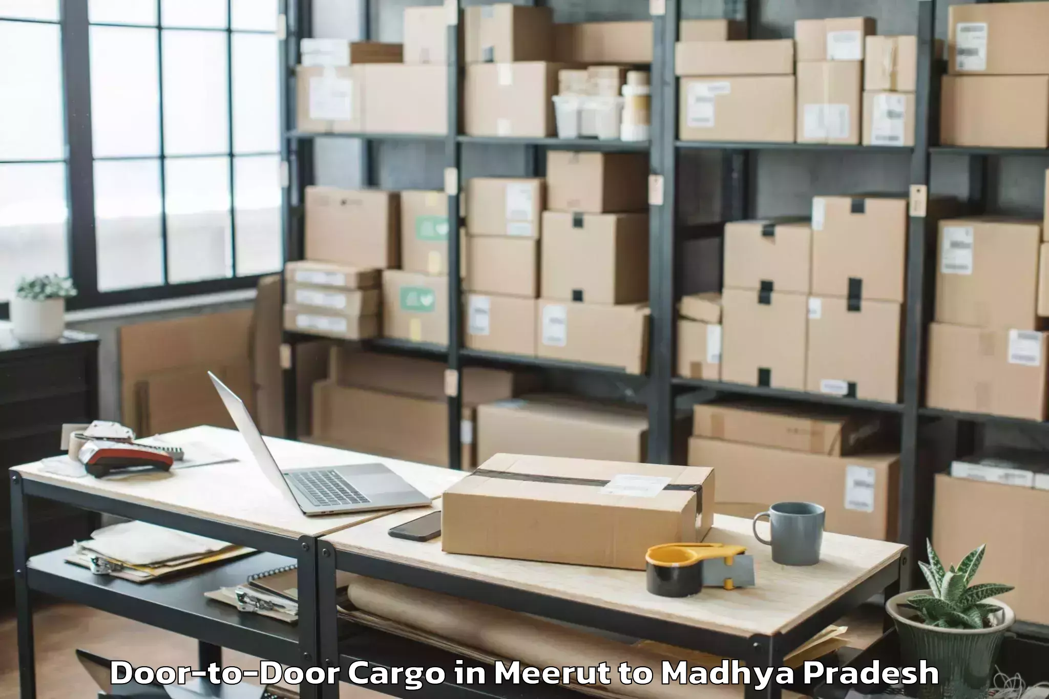 Professional Meerut to Hatpipliya Door To Door Cargo